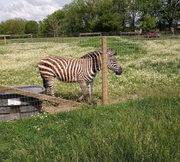 Rainbow Ranch Petting Zoo (Nashville,&nbspIL)